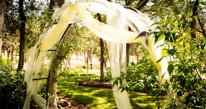 Bible and Wedding bands